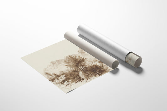 Yucca Blooms Pierce Desert Dawn