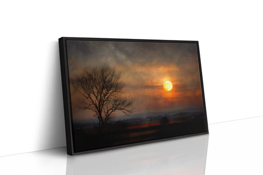 Lone Tree Awaits Amber Dawn