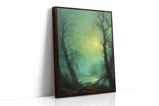 Where Light Meets the Forgotten