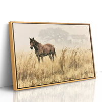 Bay Horse in the Golden Field