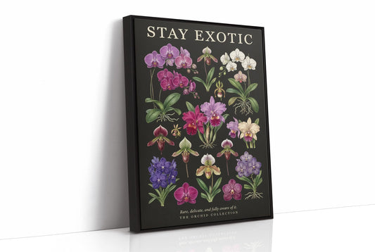 Stay Exotic: Vintage Orchid Chart