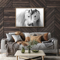 Gentle Souls Share Morning Light