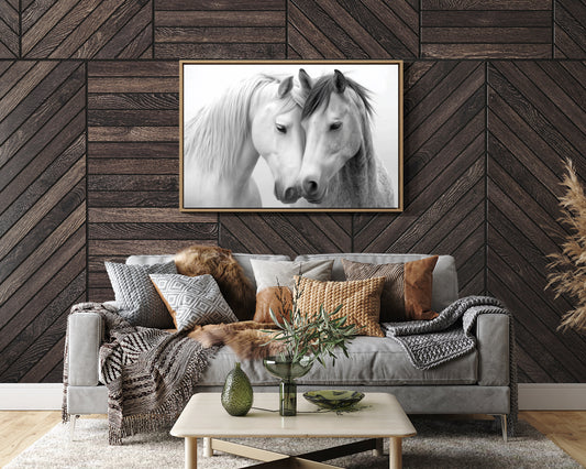 Gentle Souls Share Morning Light