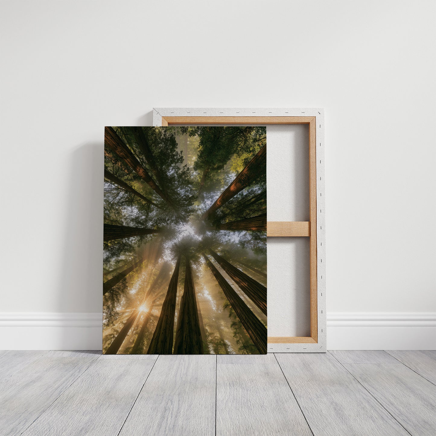 Redwoods and Sunburst