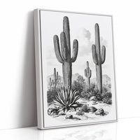 Desert Engraving With Agave