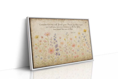 Consider the Wildflowers Luke 12:27