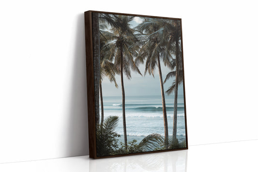 Tides Dance Beneath Tall Palms