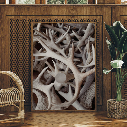 Antlers Tell Tales Of Winter