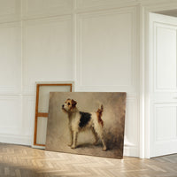 Noble Fox Terrier Stands Alert