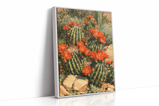 Desert Cactus in Full Bloom