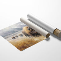 Prairie Kings March Through Morning