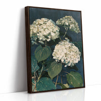 Hydrangeas After Dusk