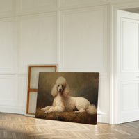 Noble Poodle Rests In Autumn Light