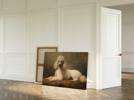 Noble Poodle Rests In Autumn Light