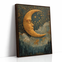 The Moon's Silent Serenade