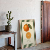 Vintage Orange Slice Botanical Study