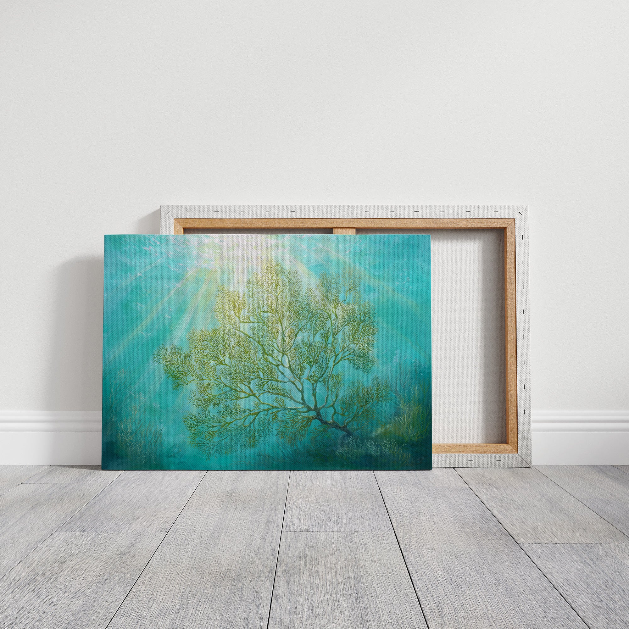 Sunbeams Illuminate Coral Branches