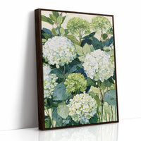 Garden Hydrangea Abundance