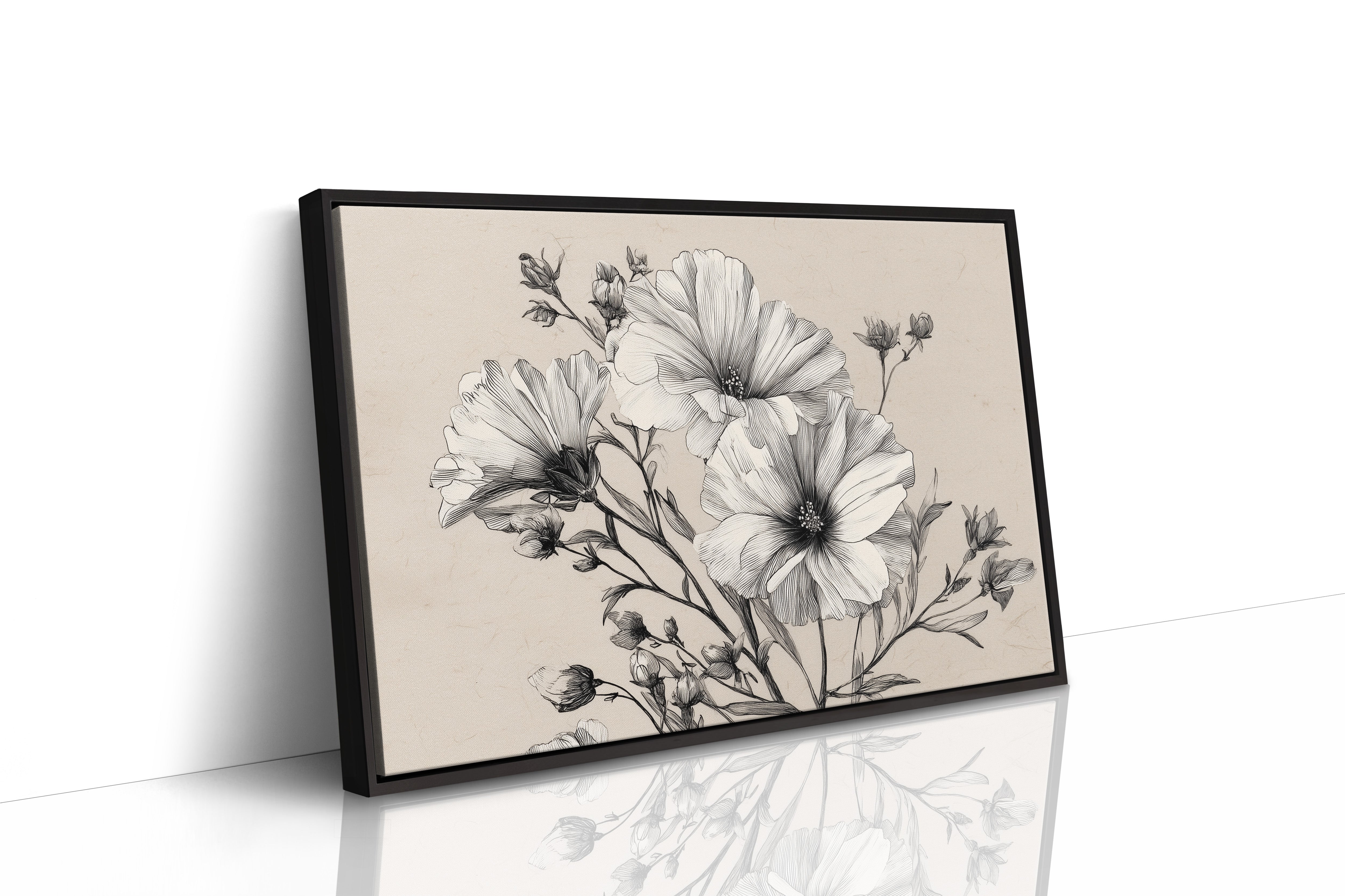 Cosmos Blooms In Graphite Grace