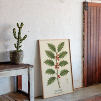 The Holly Botanical Art Print