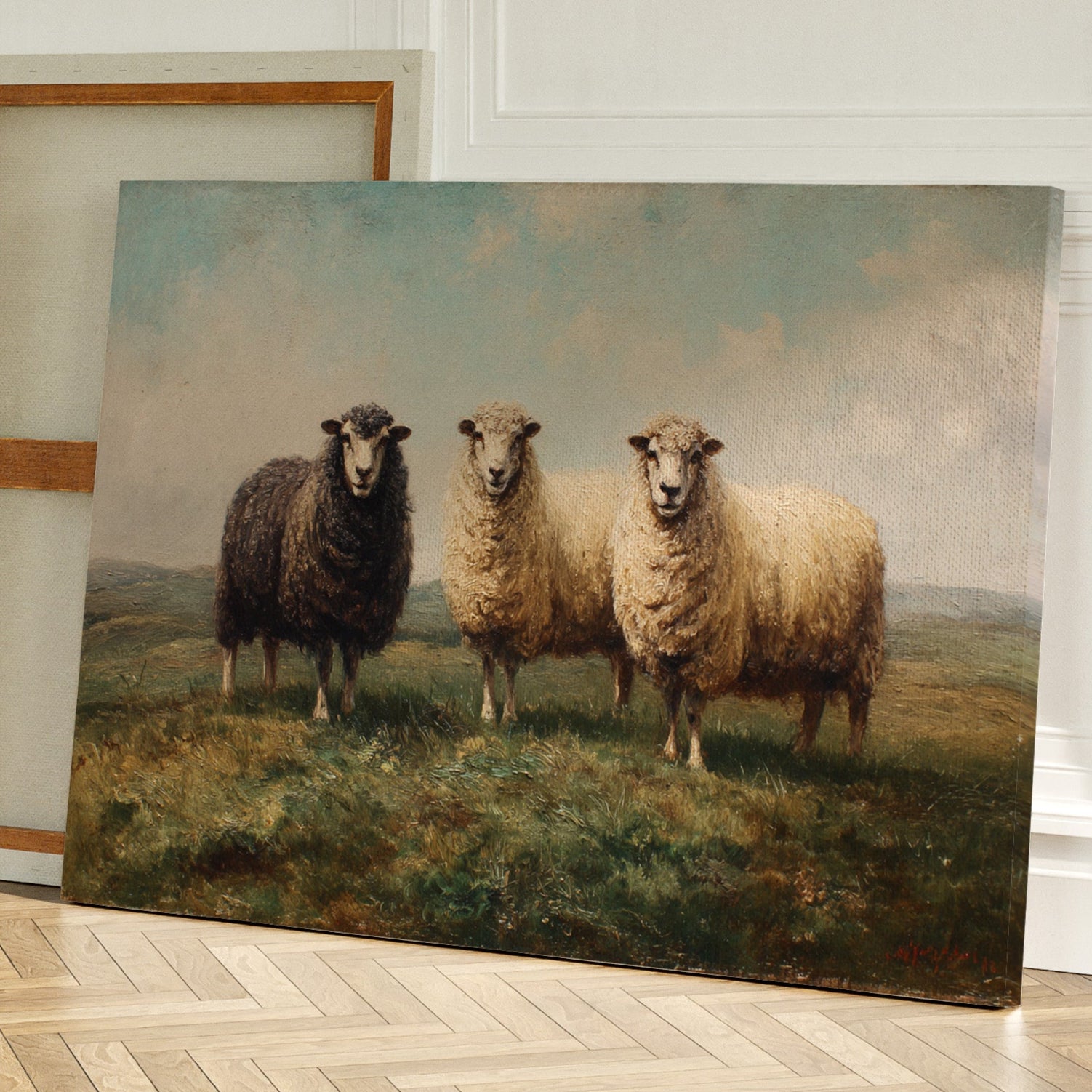 Three Sheep Stand Watch At Dawn