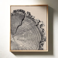 Cross-Section of Time