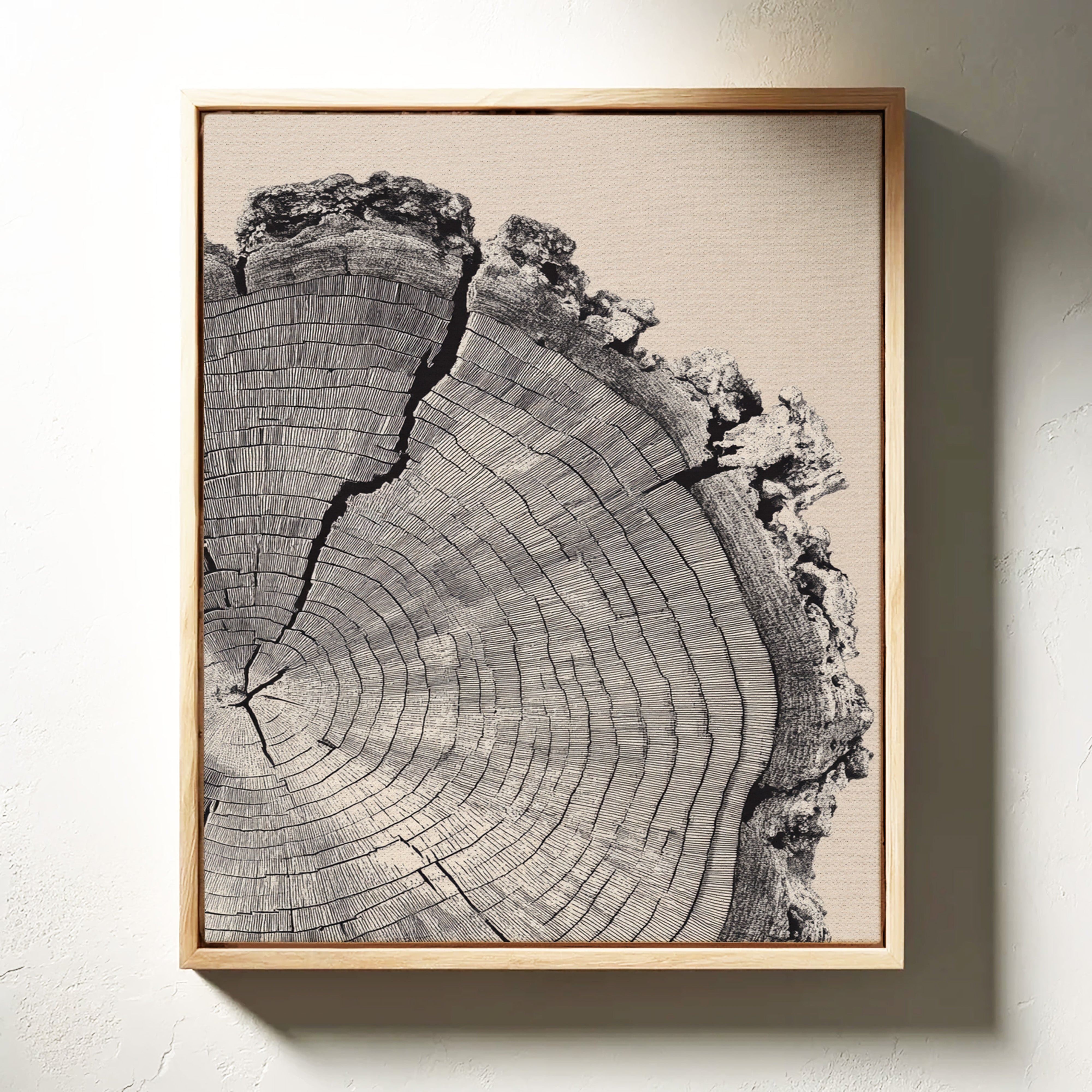 Cross-Section of Time