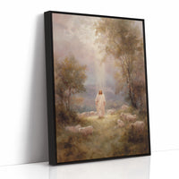 Light Breaks Through Ancient Meadows