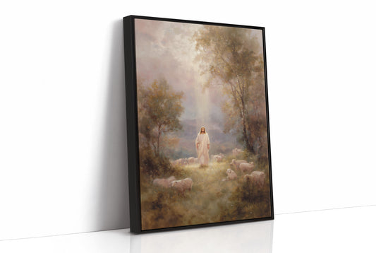 Light Breaks Through Ancient Meadows