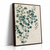 Silver Dollar Eucalyptus Sprig