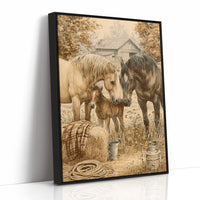 A Foal's First Introductions