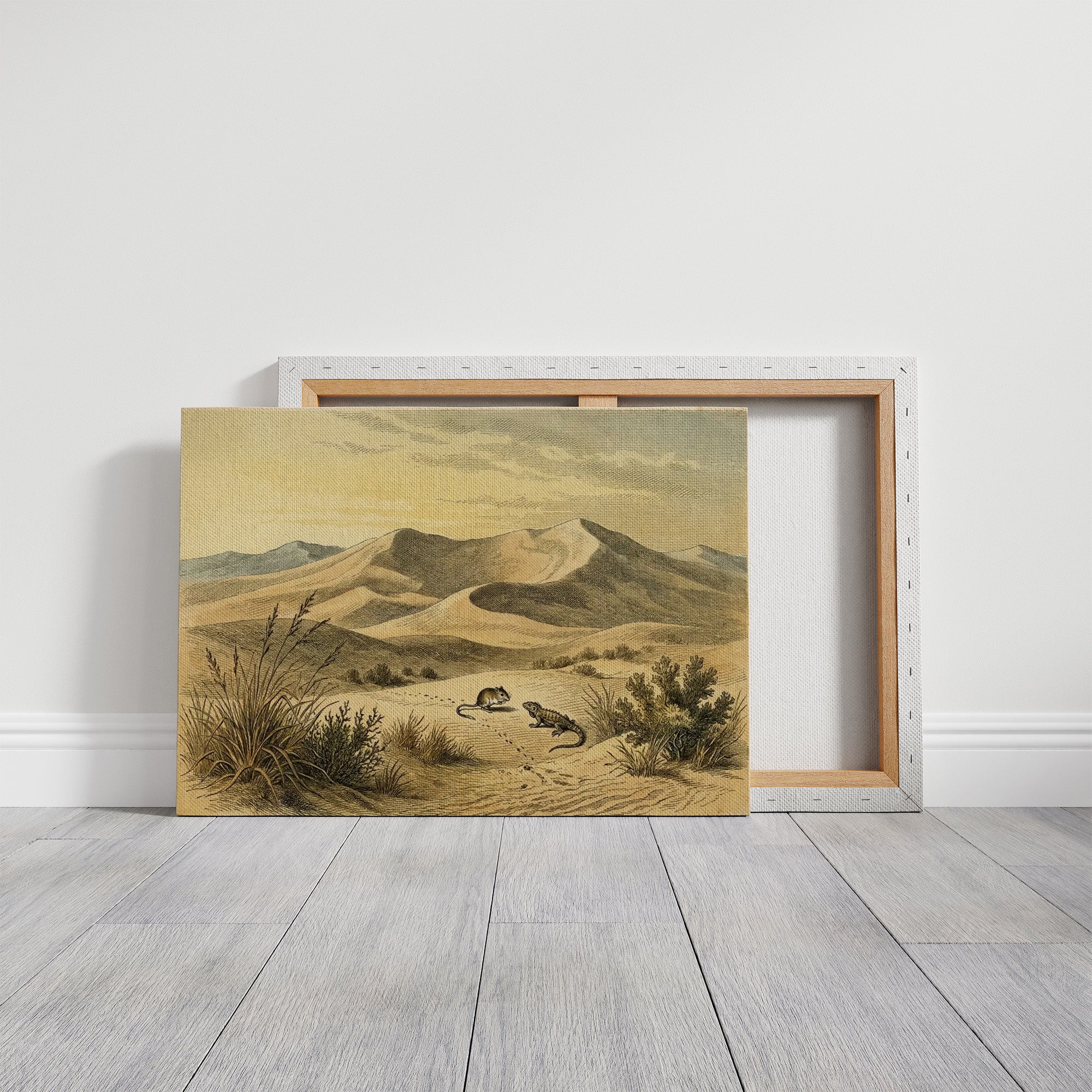 Kangaroo Rat and the Dune Lizard