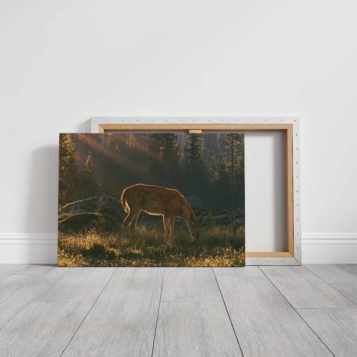 Grazing in the Golden Dew