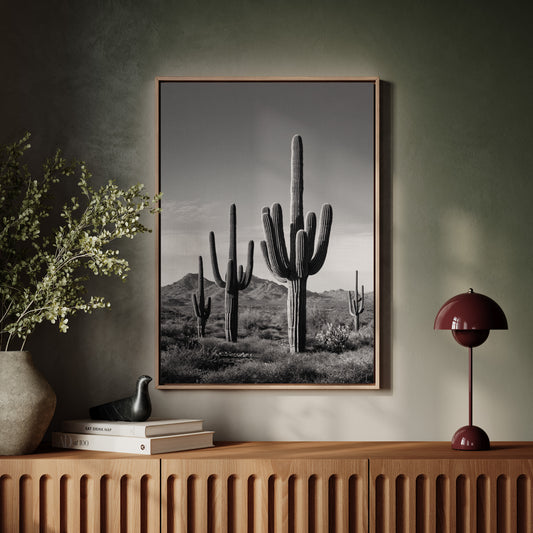 Desert Guardians