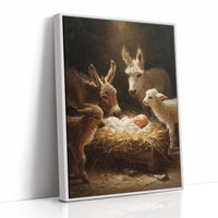 Gentle Creatures Share Sacred Night