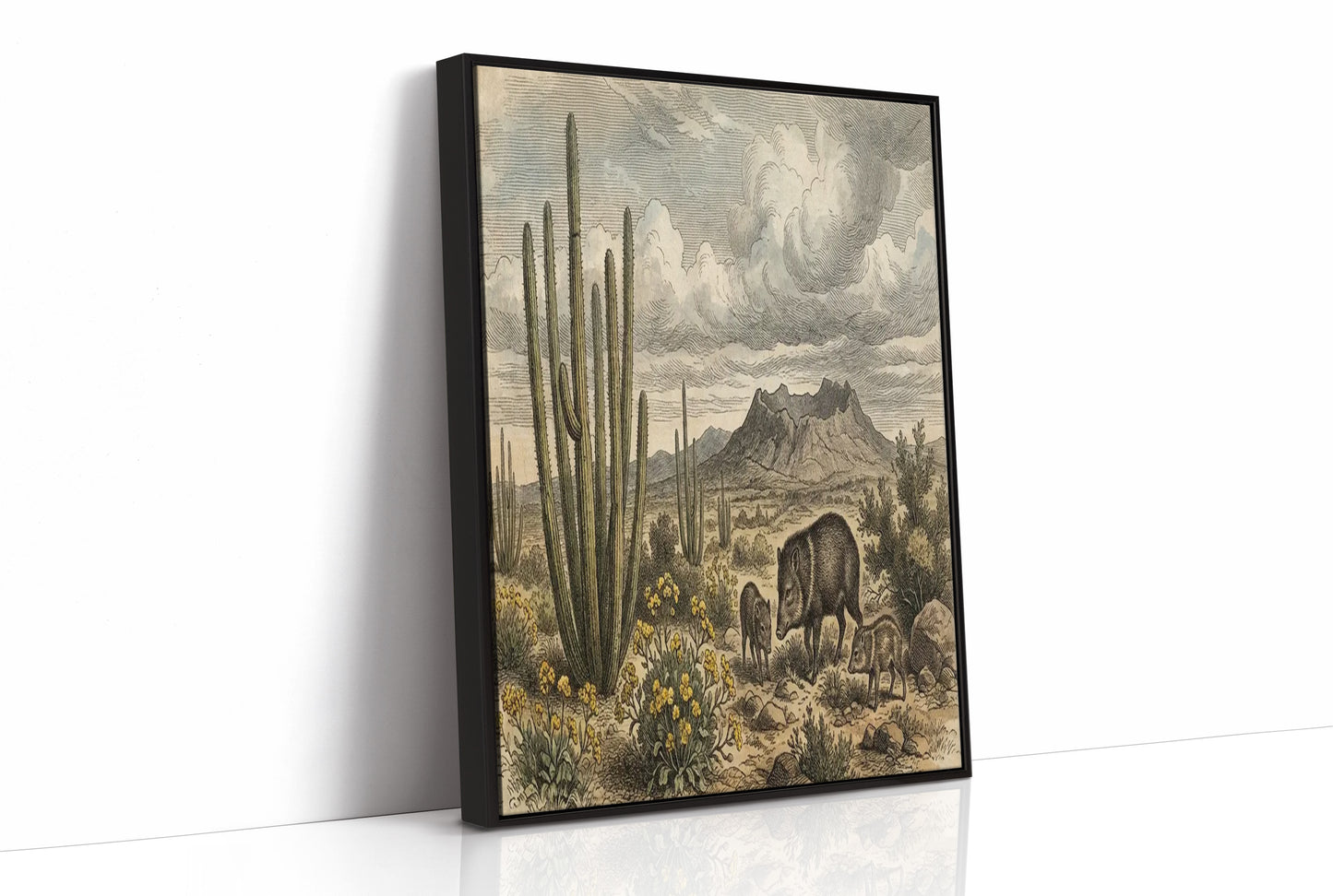 Desert Javelina Family
