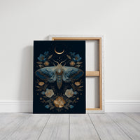 Midnight Moth Dances With Stars