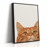 Orange Cat, Full Attention