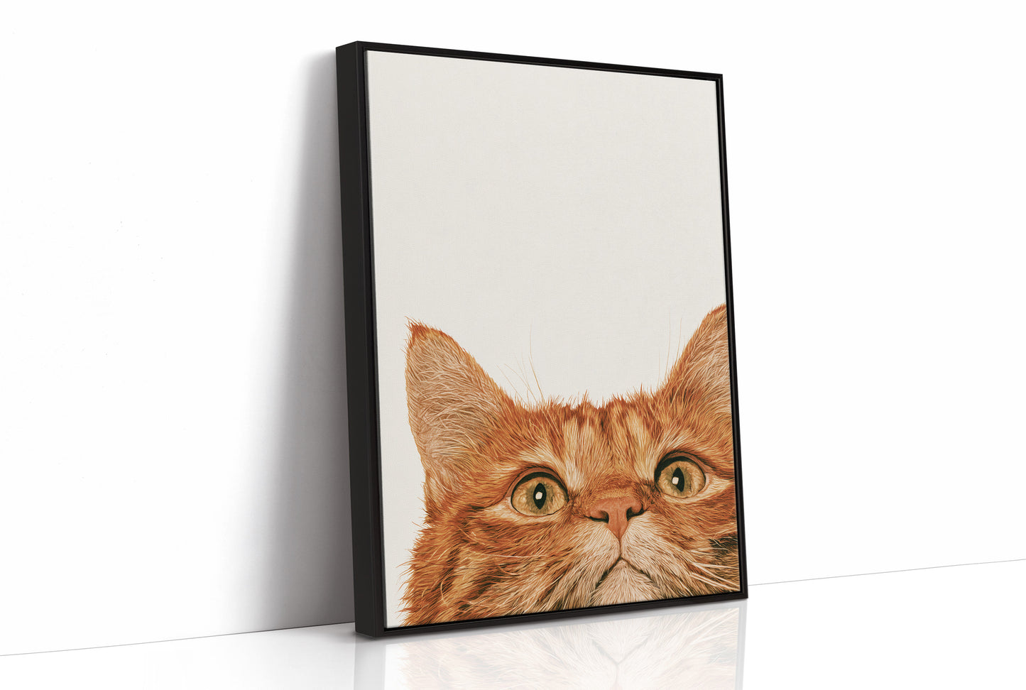 Orange Cat, Full Attention