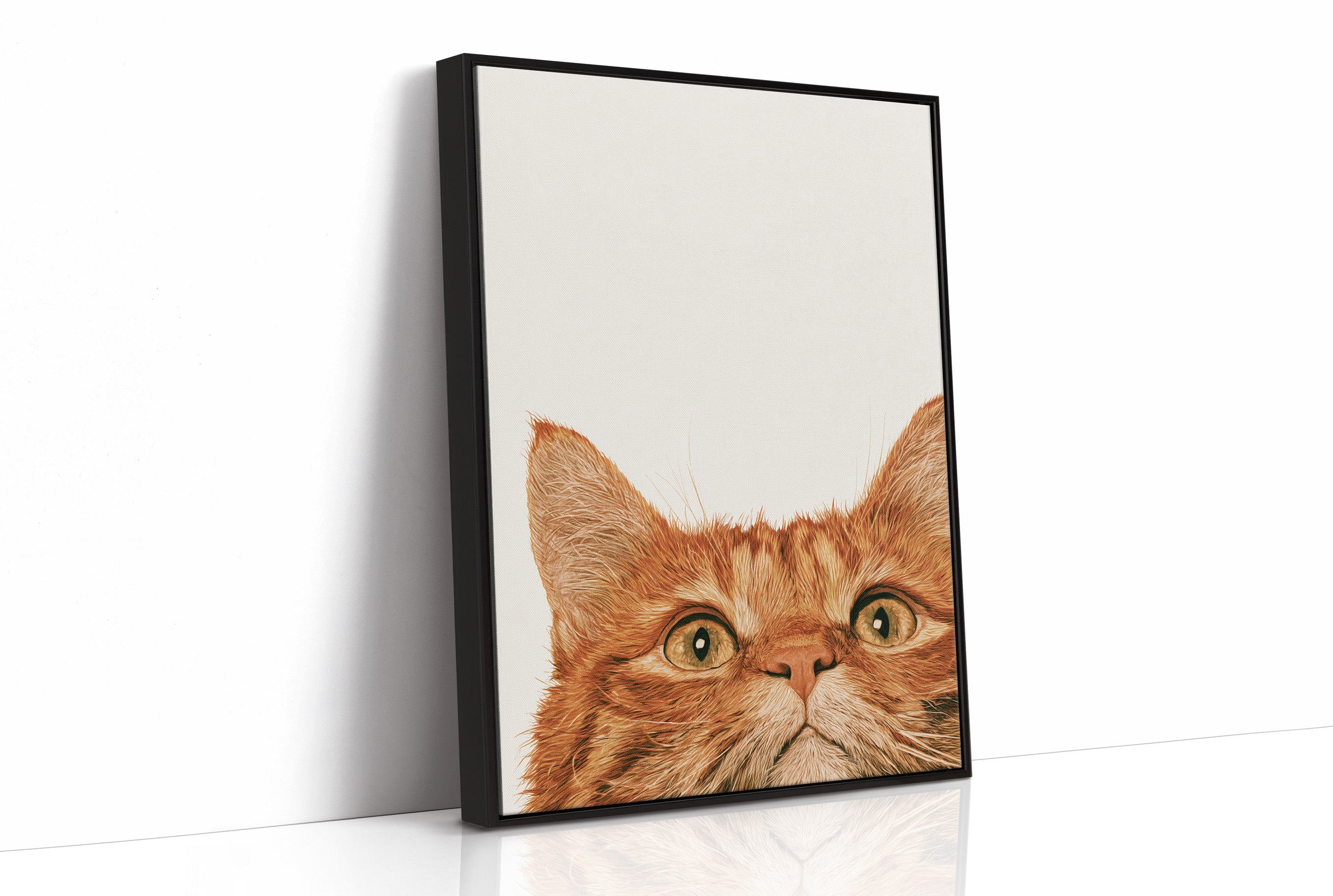 Orange Cat, Full Attention