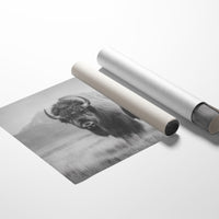 Prairie Kings Remember Their Throne