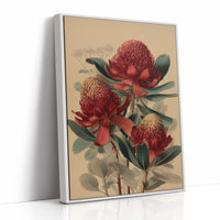 Crimson Waratahs in Bloom