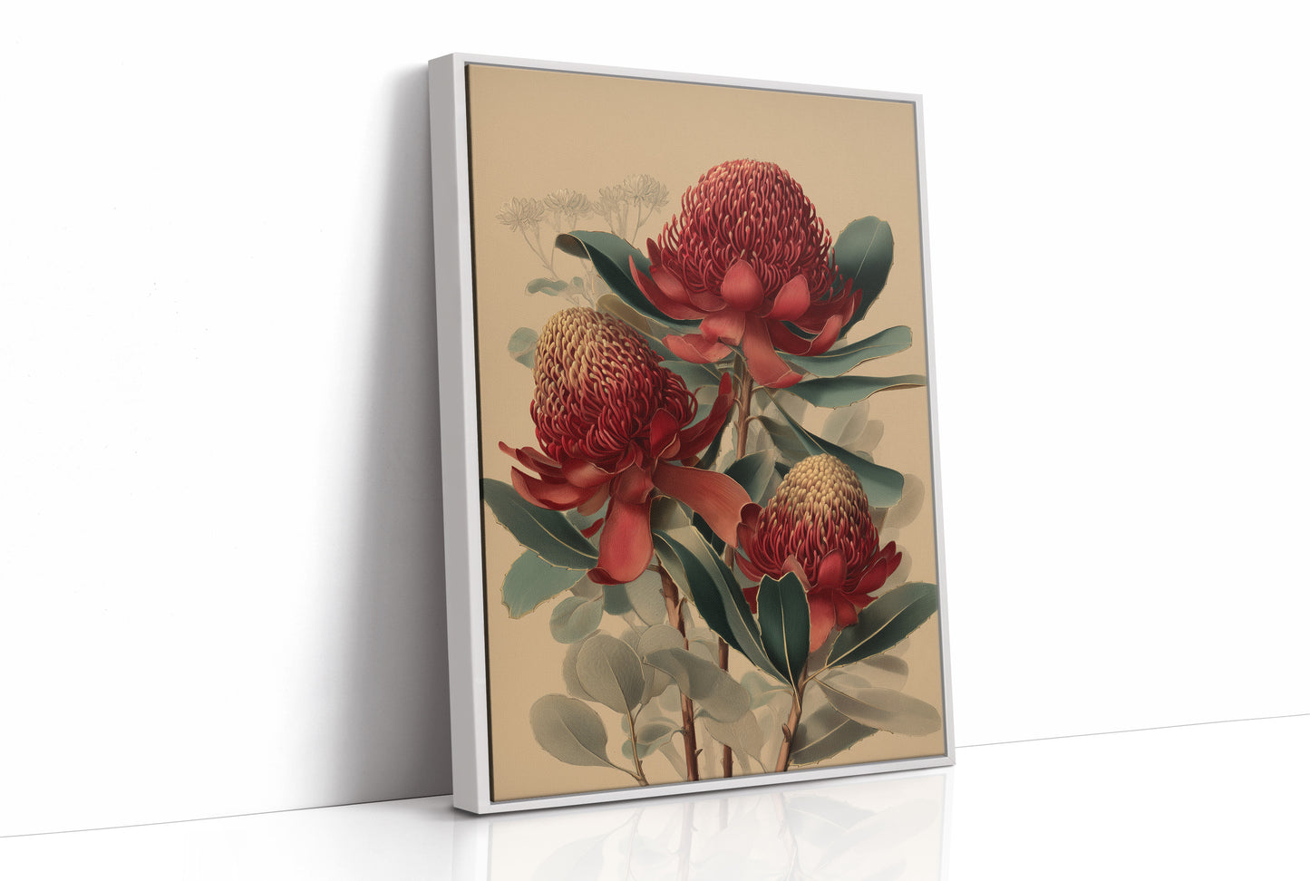 Crimson Waratahs in Bloom