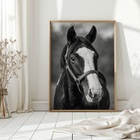 Gentle Spirit