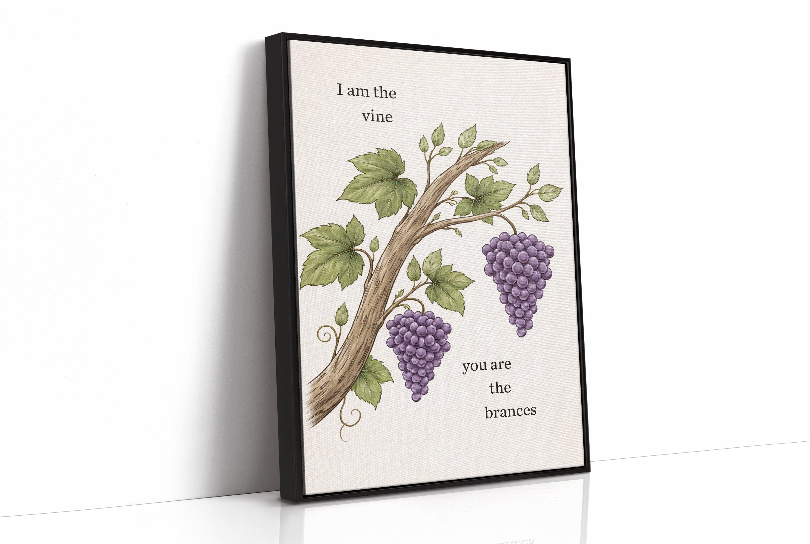 Sacred Connection Through Vineyard Wisdom