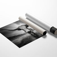 Prairie Kings Know Ancient Songs