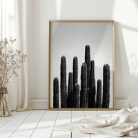 Standing Sentinels