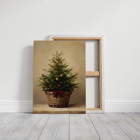 Evergreen Simplicity Against Dark Walls