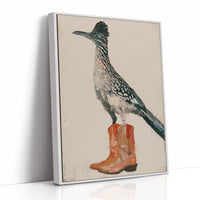 Roadrunner in Borrowed Boots