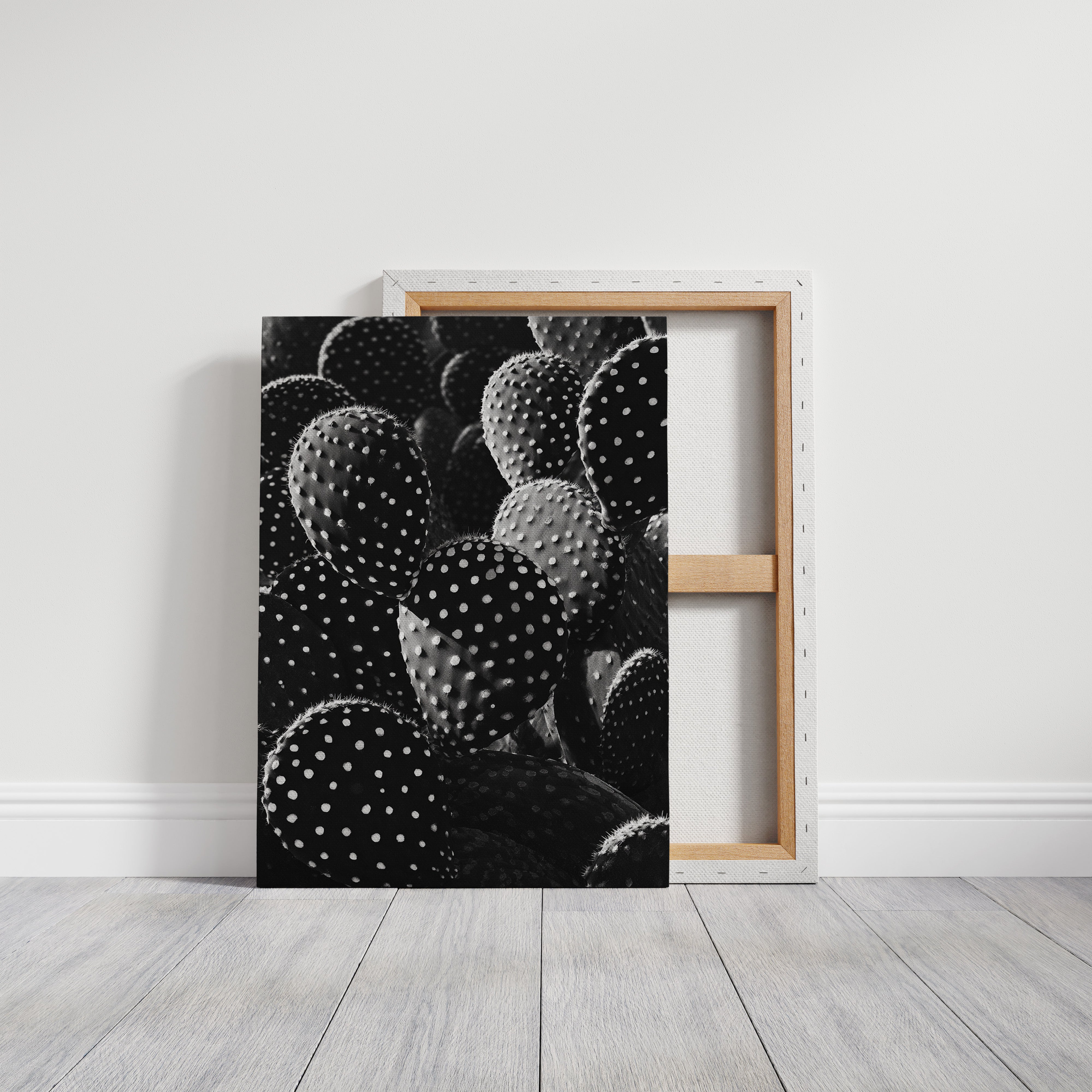 Desert Geometry in Monochrome